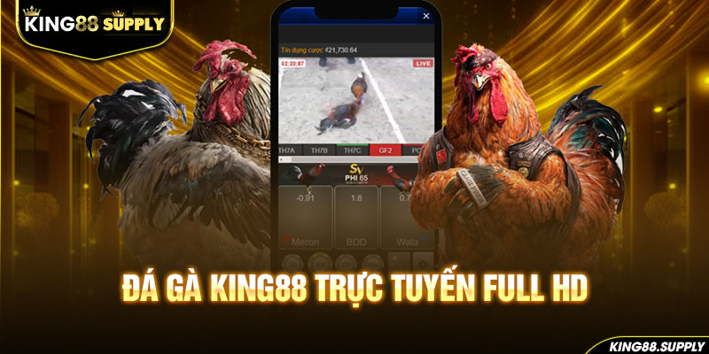Đá gà King88 trực tuyến full HD